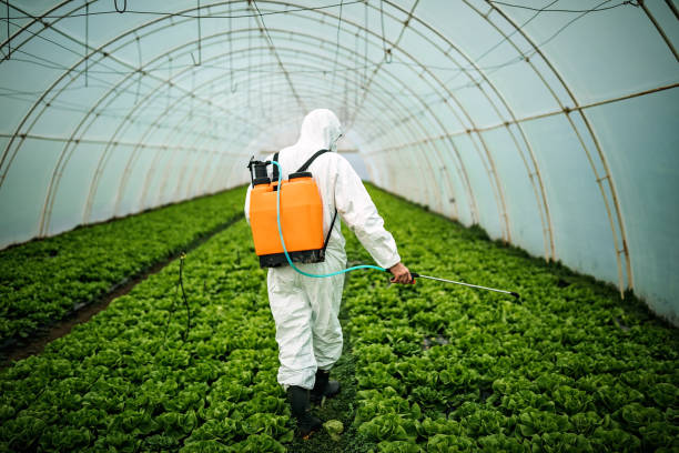 Best Affordable Pest Control Services  in Crenshaw, MS