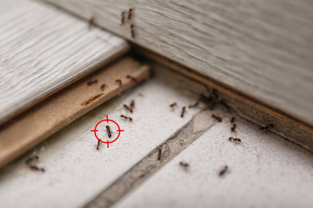 Best Residential Pest Control  in Crenshaw, MS