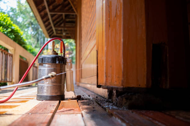 Best Cockroach Control Services  in Crenshaw, MS