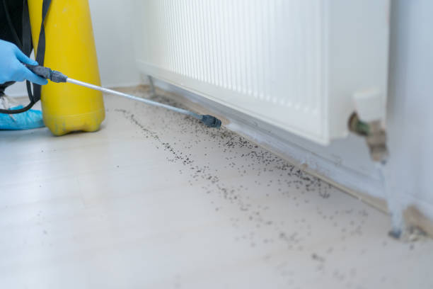 Best Mosquito Control Services  in Crenshaw, MS